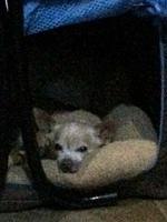 1-IMG 0761