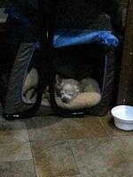 1-IMG 0763