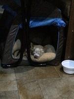 1-IMG 0764