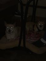 1-IMG 0789