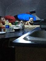 1-IMG 0802