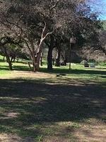 1-IMG 0911