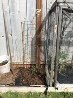 1-IMG 0934