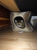 1-IMG 1071