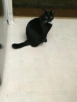 1-IMG 1123