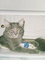 1-IMG 1199