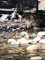 1-IMG 1247