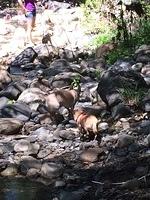 1-IMG 1260