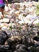 1-IMG 1263