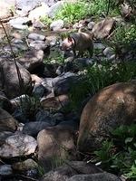 1-IMG 1264