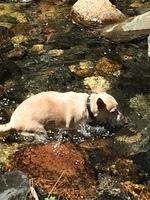 1-IMG 1278