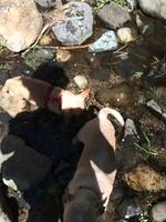1-IMG 1283