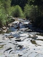 1-IMG 1288