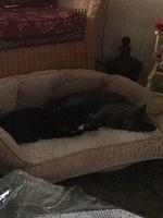 1-IMG 1387