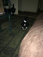 1-IMG 1432