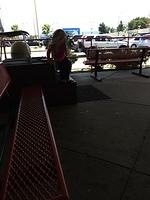 1-IMG 1482