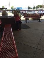 1-IMG 1484