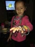 1-IMG 1491