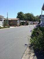 1-IMG 1537