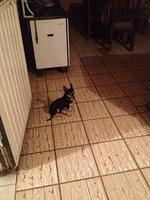 1-IMG 1582