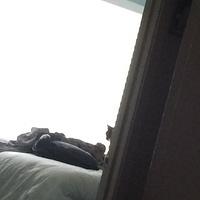 1-IMG 1596