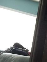 1-IMG 1598