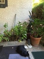 1-IMG 1613