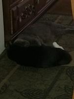 1-IMG 1631