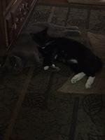 1-IMG 1632