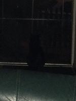 1-IMG 1645