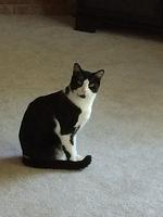1-IMG 1665