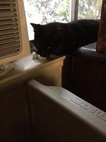 1-IMG 1674