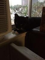 1-IMG 1675