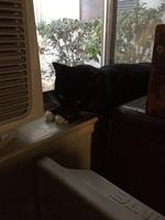 1-IMG 1676