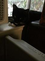 1-IMG 1677