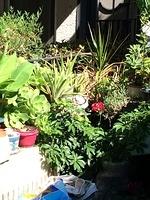 1-IMG 1688