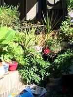 1-IMG 1689