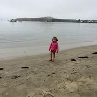 1-IMG 1764