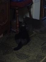 1-IMG 1826