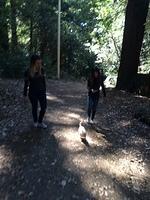 1-IMG 1862