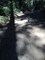 1-IMG 1864