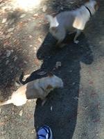 1-IMG 1868