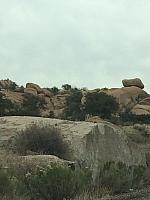 1-IMG 2229
