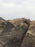 1-IMG 2231