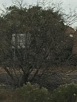 1-IMG 2234