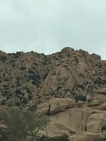 1-IMG 2240