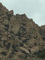 1-IMG 2241