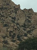 1-IMG 2242