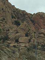 1-IMG 2244
