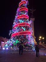 1-IMG 2251